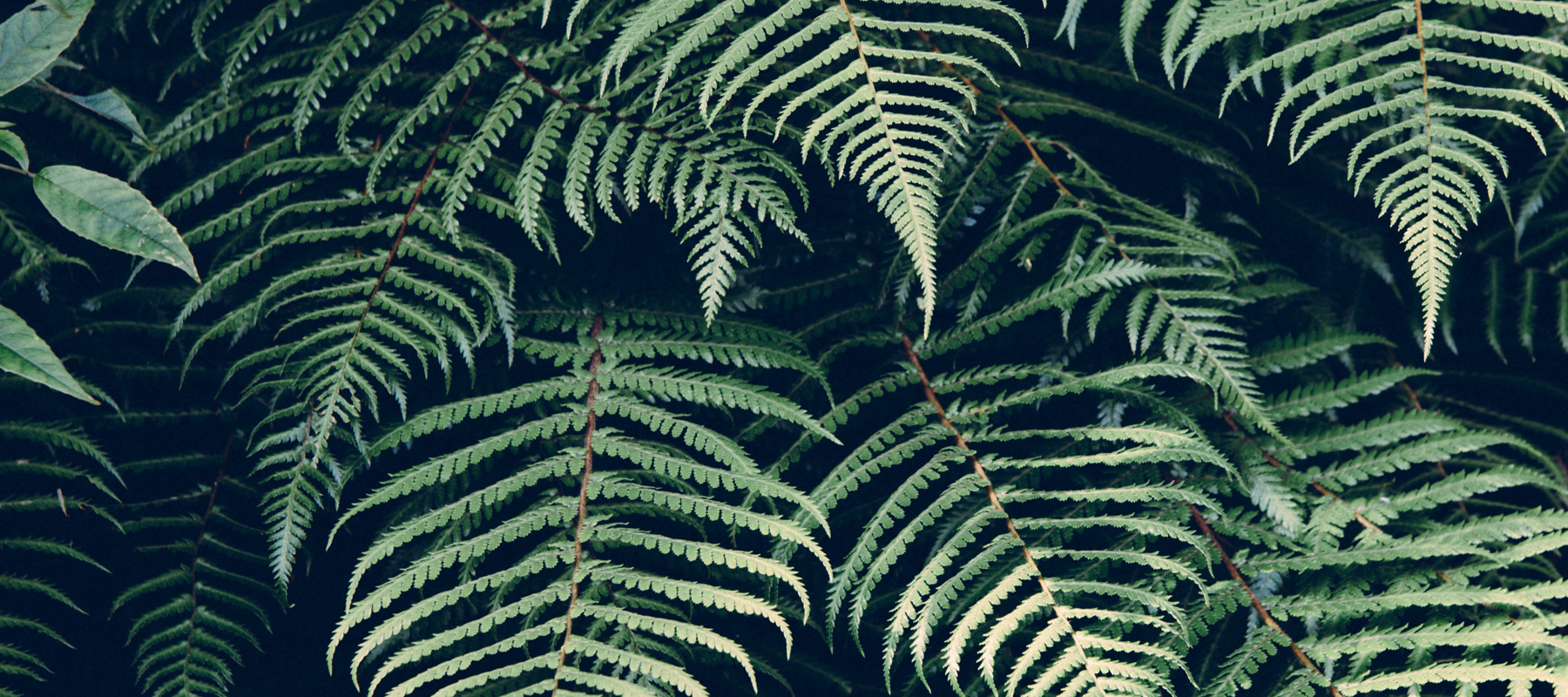 banner-07